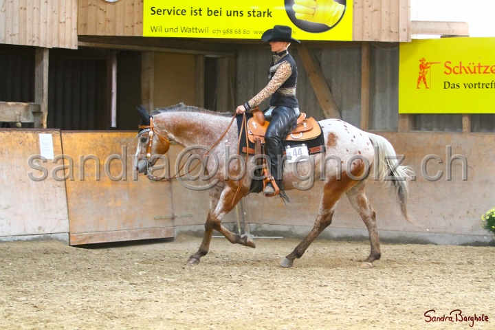 31-ApHC OWP_015.jpg